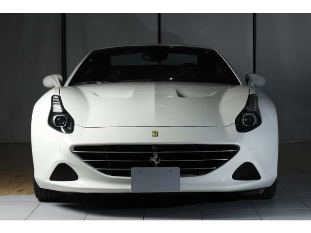 カリフォルニアTF1 DCTバックカメラ&パークセンサー