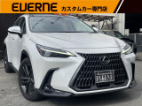 NX 250 バージョンL ワンオーナー/14型ナビ/本革/Pゲート