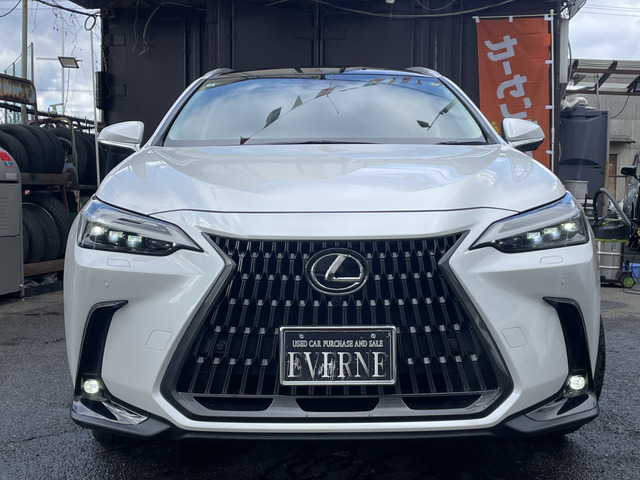 レクサス NX 250 バージョンL ワンオーナー/14型ナビ/本革/Pゲート の