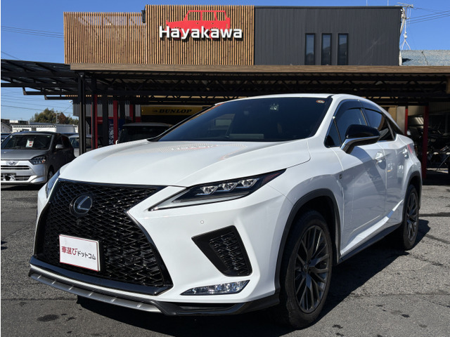 RX 300 Fスポーツ 純大型ナビ 20インチアルミ サンルーフ
