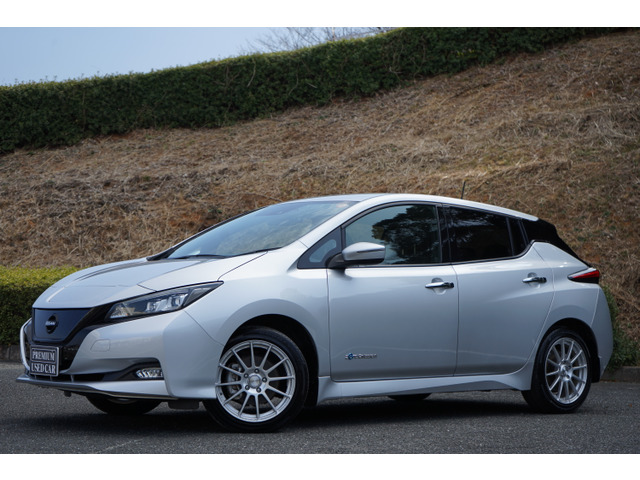 リーフX満充電282km セグメント12