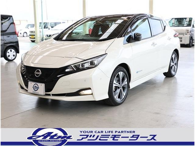 リーフGプロパイ・ナビ・360カメラ・ETC