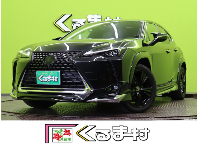 UX 300e バージョンL 【モデリスタエアロ★サンルーフ】