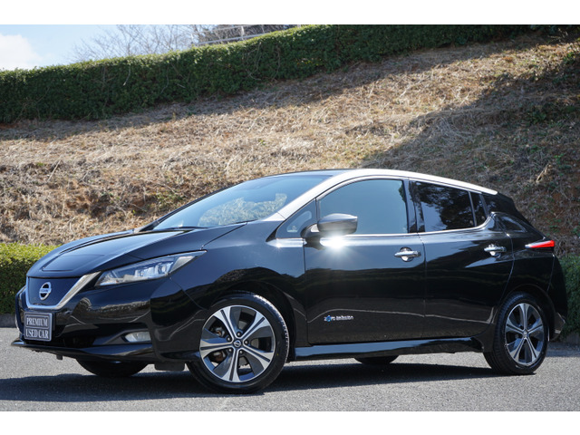 リーフX Vセレクション満充電287(303km)セグメント12