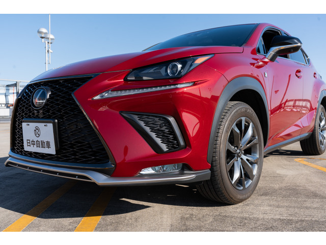 NX 300 Fスポーツ 