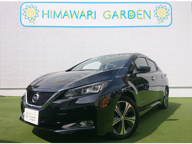 リーフGワンオーナー エマブレ プロパイロット