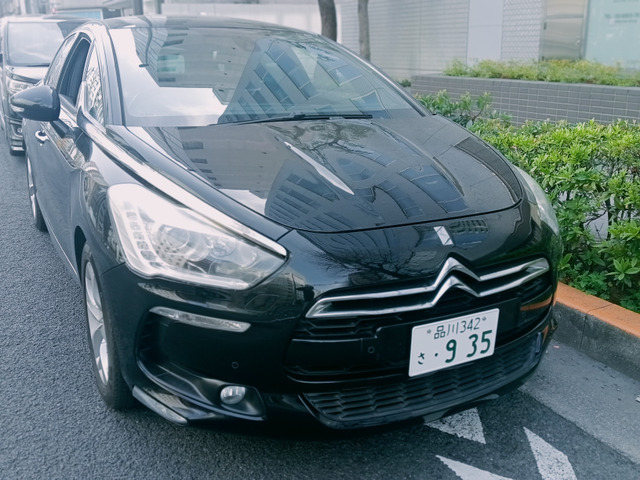 DS5 シック 