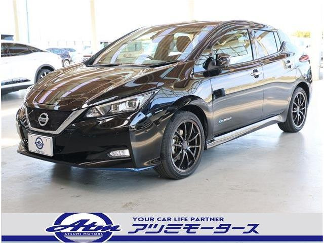 リーフ e+ G プロパイ・18AW・ナビ・TV・Bカメラ・ETC2.