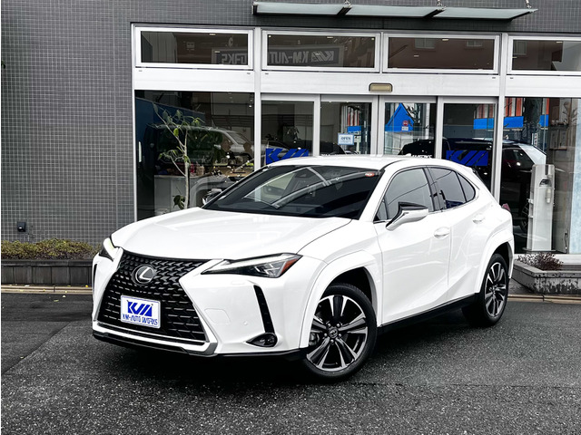 UX 250h バージョンL TRDエアロフェンダー HUD BSM