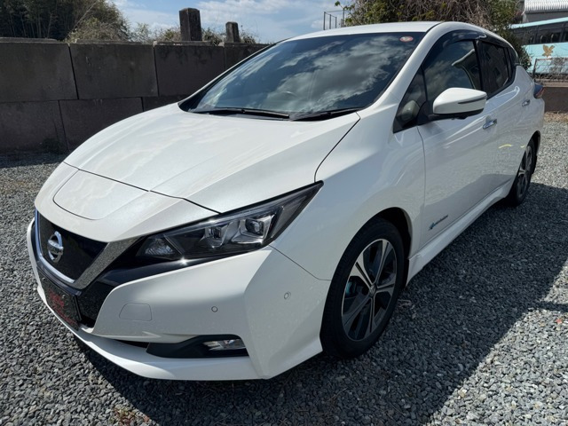 リーフ G ETC ドラレコ 全周囲カメラ 11セグ