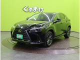 NX 250 【9.8型Dオーディオ★合皮シート】
