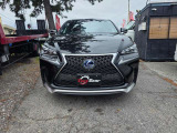 NX 300h Fスポーツ 