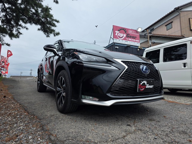 NX 300h Fスポーツ 