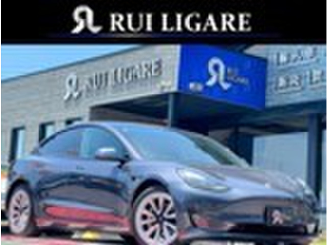 モデル3 ロングレンジ 4WD ワンオーナー 上海モデル