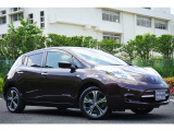 リーフ 30kWh X サンクス エディション 満充電170km セグメント10
