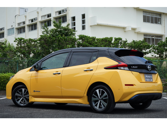 【期間限定値下げ】大量貴重　ロングリーフのオニサバルヤシ 日産 リーフ X 満充電288(305km)セグメント12 の中古車詳細 (80,863km