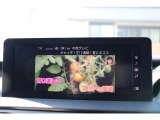 TVももちろん視聴可能で走行中も可能です!