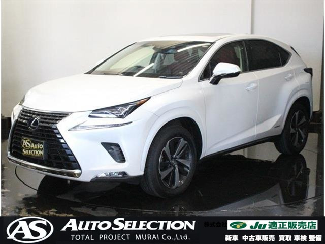 NX 300h バージョンL 4WD ブラインドスポットモニター