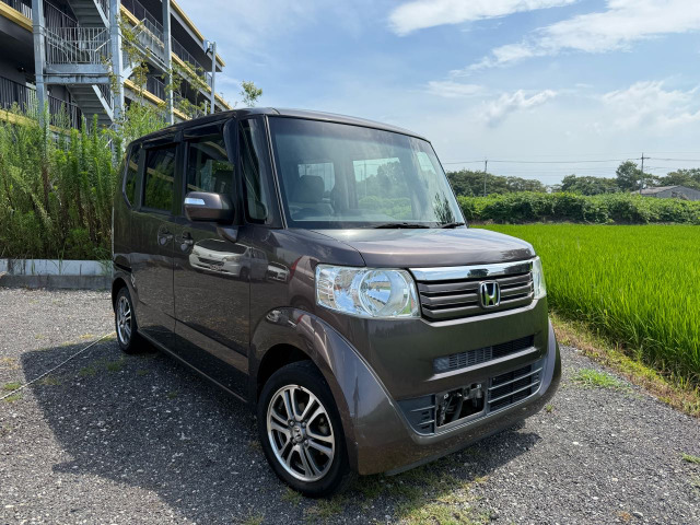N-BOX G バックカメラナビテレビetc