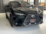 NX 250 