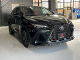 NX 250 