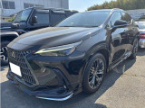 NX 250 バージョンL モデリスタエアロ デジタルインナーミラー