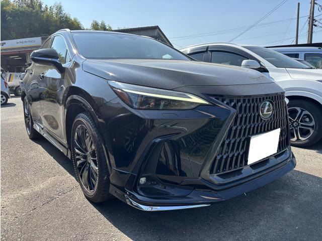NX 250 バージョンL モデリスタエアロ デジタルインナーミラー