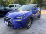 NX 300h 