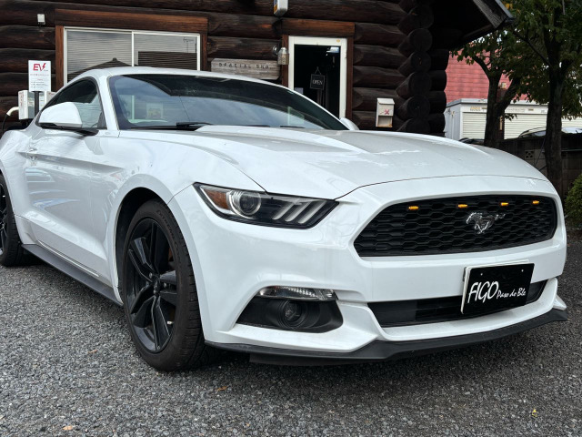 マスタング 50イヤーズ エディション 限定車 左ハンドル 本革シート