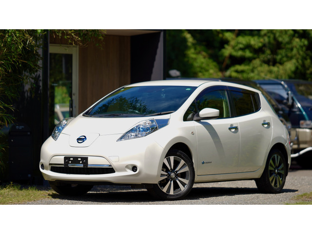 リーフ 30kWh X サンクス エディション セグ残10 満充電 176km TV