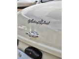 &ldquo;Austin of England&rdquo;エンブレムには程よい風合いが残り、英国車らしさを主張