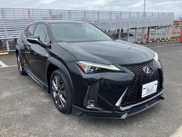 UX 250h Fスポーツ