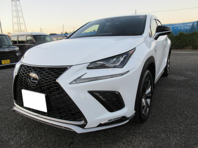 NX 300h Fスポーツ 最終モデル パノラミックビュー