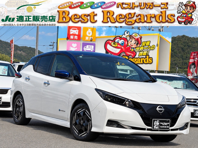 リーフ X 検4.9 6.9Mキロ 1オーナー ナビ