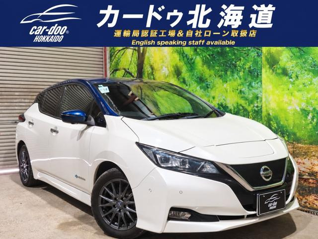リーフ G 満充電222kmTVナビ全周囲カメラ