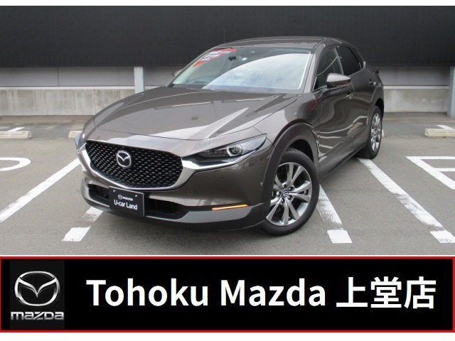 中古車 マツダ Cx 30 2 0 s プロアクティブ ツーリングセレクション の中古車詳細 3 000km ブラウン 岩手県 275万円 中古車情報 中古車検索なら 車選びドットコム 車選び Com