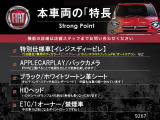 500C  イレジスティービレ