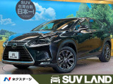NX300h 300h Iパッケージ 
