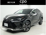 NX300 300 Fスポーツ 4WD 