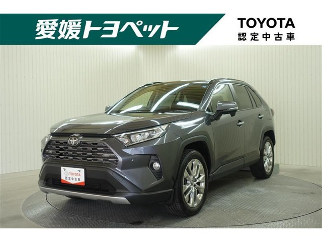 中古車 トヨタ RAV4 2.0 G Zパッケージ 4WD の中古車詳細 (26,000km