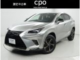 NX300 300 ブロンズ エディション 