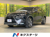 NX300h 300h Iパッケージ 