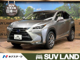 NX300h 300h Iパッケージ 