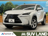 NX300h 300h バージョンL 