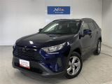RAV4 2.0 X 