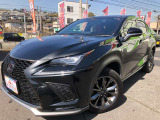 NX300h 300h Fスポーツ 