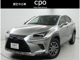 NX300 300 Iパッケージ 4WD 