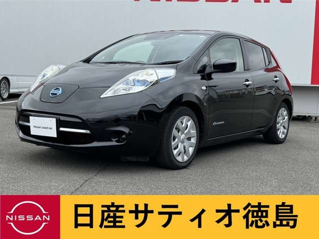 リーフ 30kWh X 