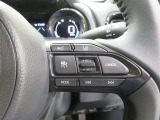 ステアリングスイッチ右側 車間距離切替スイッチ、LTAスイッチ、クルーズコントロールスイッチ、オーディオスイッチ。 ハンドルから手を離さなくても操作ができます!