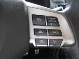 アクセル、ブレーキ操作を統合的に行い前車に追従するアダプティブクルーズコントロール付いてます。